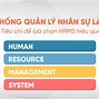 Kỹ Năng Quản Lý Nhân Sự Là Gì