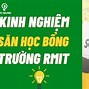 Săn Học Bổng Đại Học Rmit 2024 Hcm Result Date Results