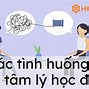 Thông Tư 31 Tư Vấn Tâm Lý